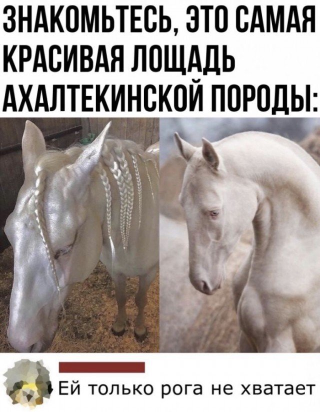Смешные комментарии к постам в социальных сетях (15 фото) Смешные комментарии к постам в социальных сетях (15 фото)