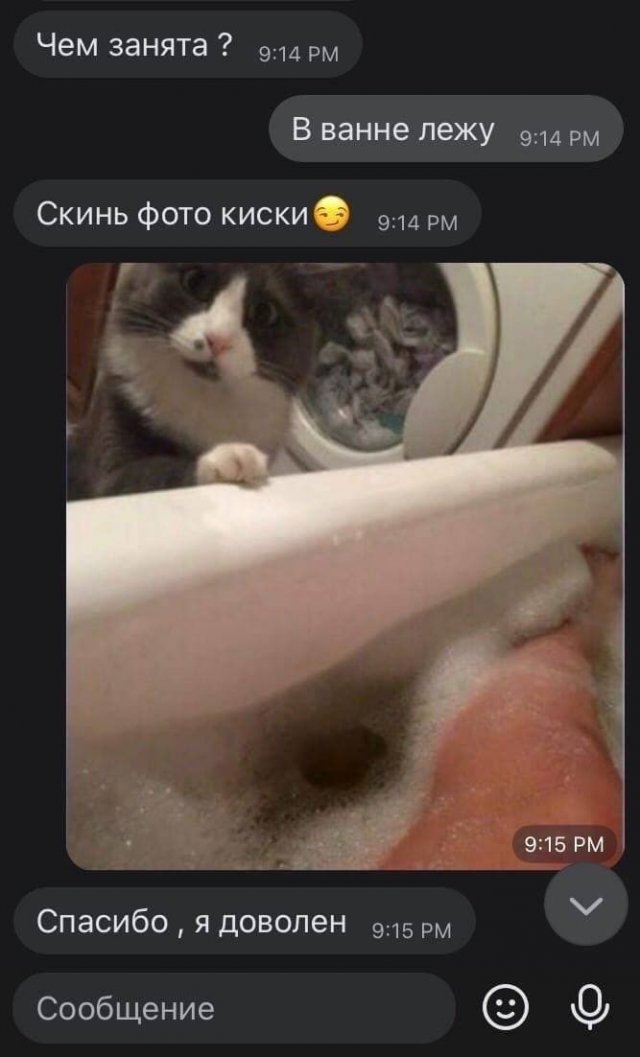 Смешные переписки (15 фото)