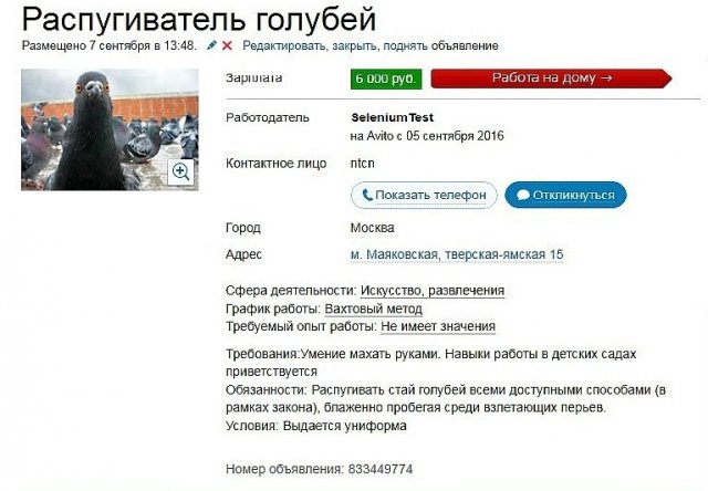 Нелепые и смешные резюме в Интернете (15 фото)