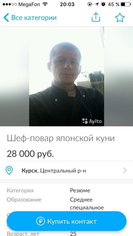 Нелепые и смешные резюме в Интернете (15 фото)