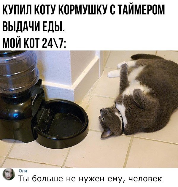 Смешные комментарии к постам в социальных сетях (15 фото) Смешные комментарии к постам в социальных сетях (15 фото)