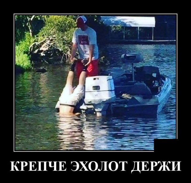 Демотиваторы 2724 Демотиваторы 2724