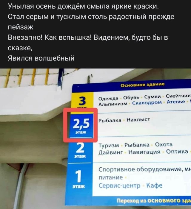 Рифмы из социальных сетей (16 фото)