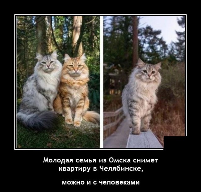 Демотиваторы 2723 Демотиваторы 2723