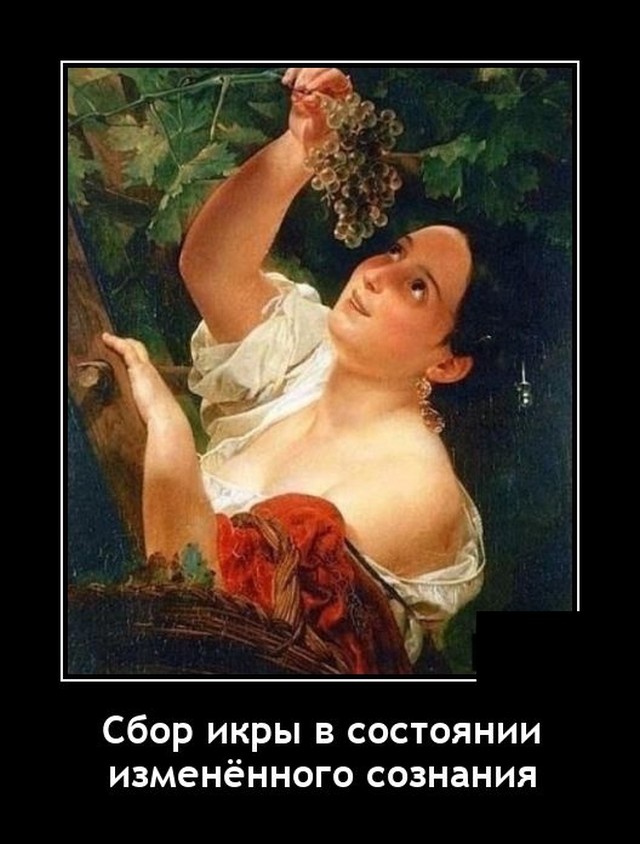 Демотиваторы 2724 Демотиваторы 2724