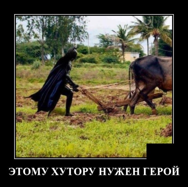 Демотиваторы 2723 Демотиваторы 2723