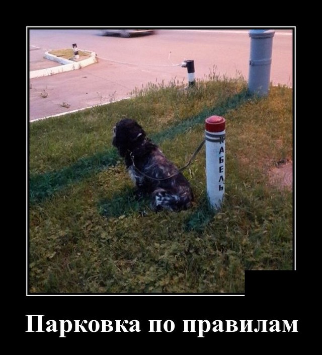 Демотиваторы 2722 Демотиваторы 2722