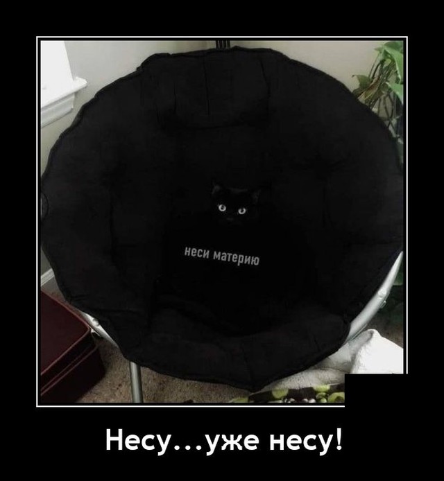 Демотиваторы 2724 Демотиваторы 2724