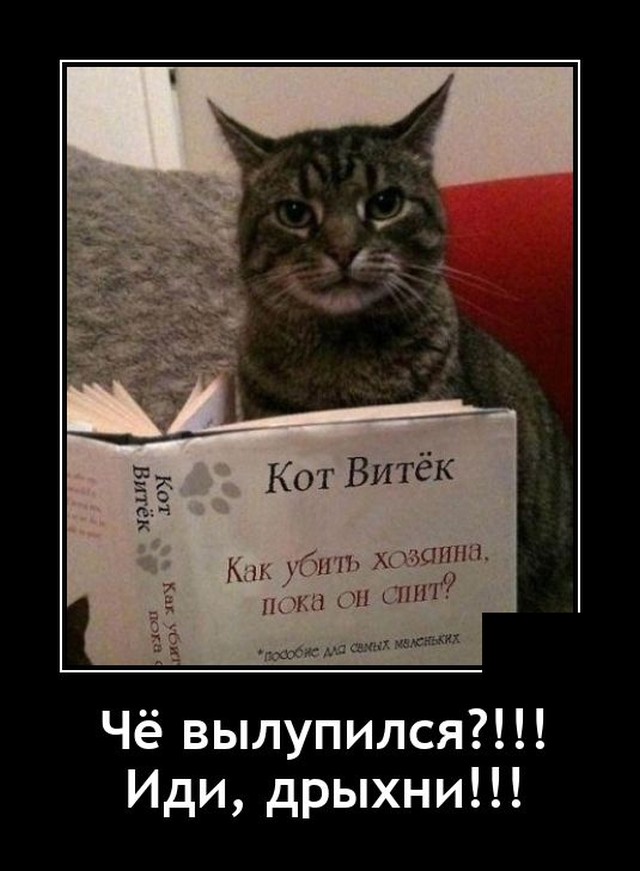 Демотиваторы 2724 Демотиваторы 2724
