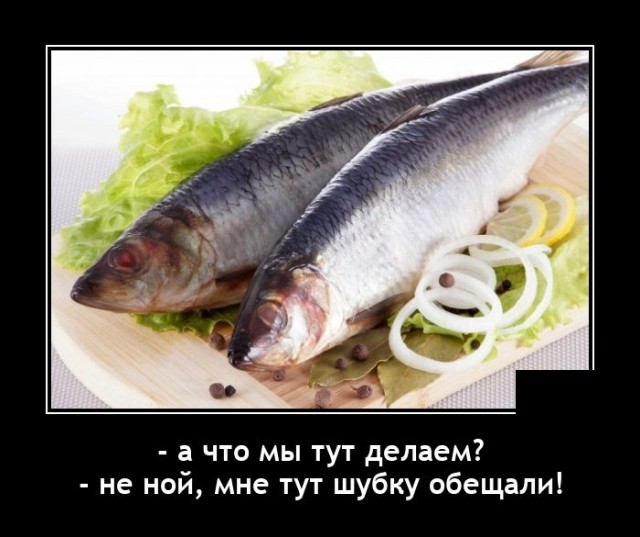 Демотиваторы 2747