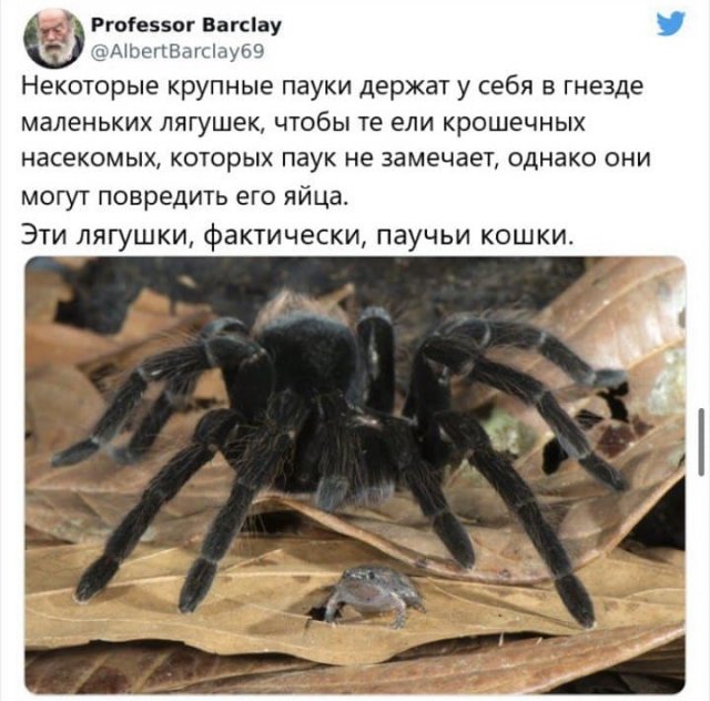 Шутки, мемы и приколы для умных людей (12 фото) Шутки, мемы и приколы для умных людей (12 фото)