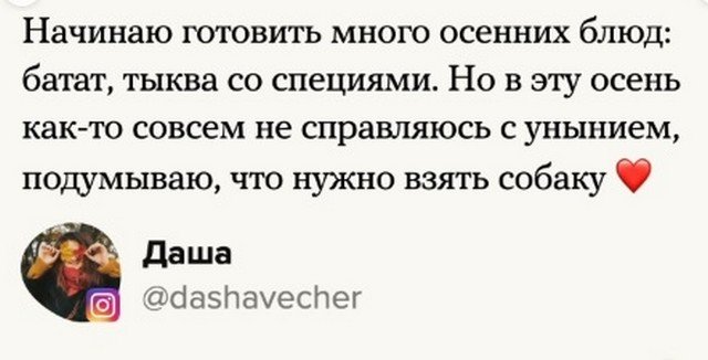 Пользователи Сети рассказали, как пережить осень (18 фото) Пользователи Сети рассказали, как пережить осень (18 фото)