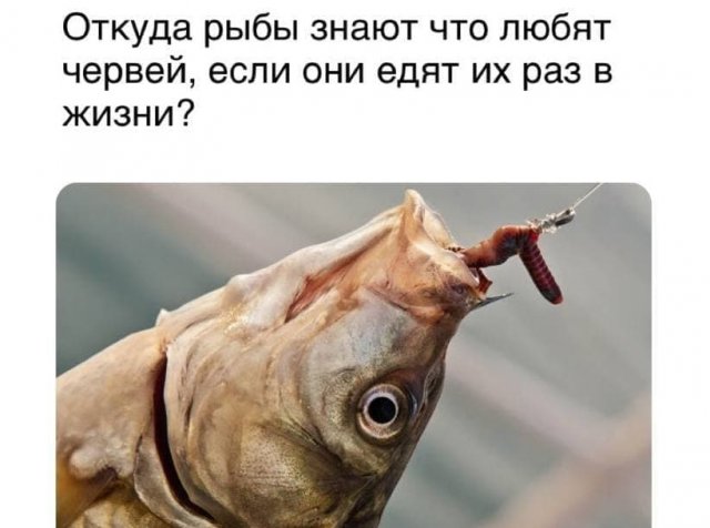 Философские вопросы и мысли от пользователей Сети (15 фото) Философские вопросы и мысли от пользователей Сети (15 фото)