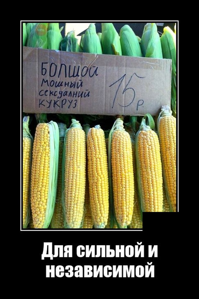 Демотиваторы 2742 Демотиваторы 2742