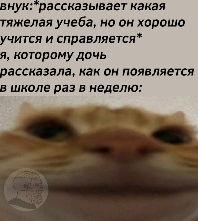 Шутки и мемы для людей старшего возраста (15 фото) Шутки и мемы для людей старшего возраста (15 фото)