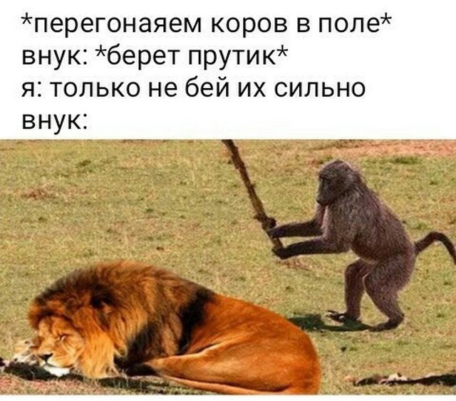 Шутки и мемы для людей старшего возраста (15 фото) Шутки и мемы для людей старшего возраста (15 фото)