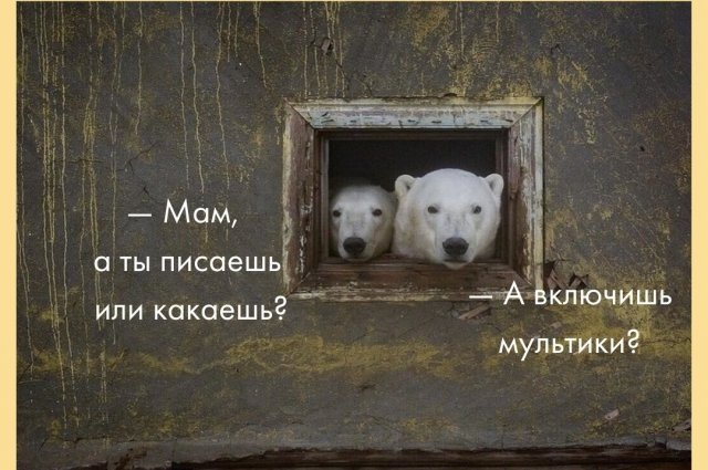 Шутки и мемы из родительских чатов (15 фото) Шутки и мемы из родительских чатов (15 фото)