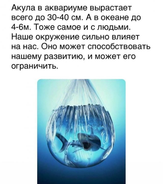 Философские мысли от пользователей Сети (15 фото) Философские мысли от пользователей Сети (15 фото)