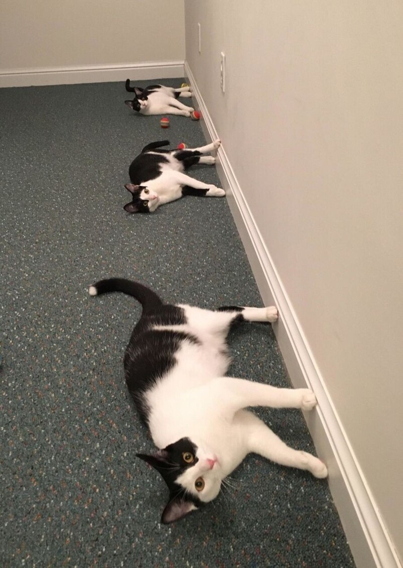 15 хитрых снимков, которые любого могут поставить в тупик (16 фото) 15 хитрых снимков, которые любого могут поставить в тупик (16 фото)