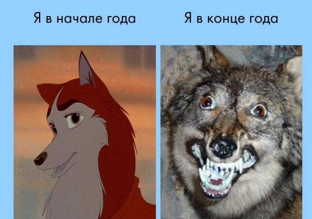 Шутки и мемы из родительских чатов (15 фото) Шутки и мемы из родительских чатов (15 фото)