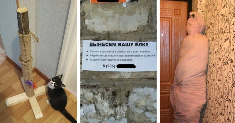 Собрались выкидывать елку? Остановитесь! Здесь собраны неплохие идеи (15 фото)