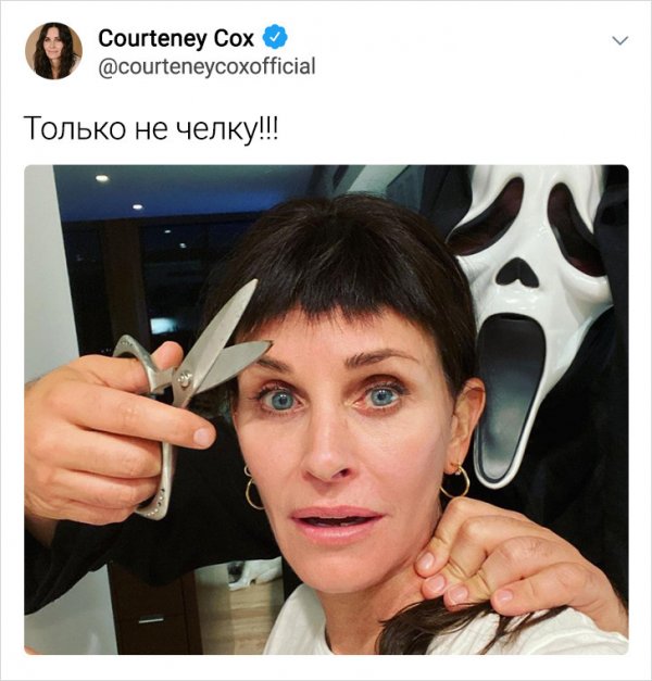 Подборка забавных твитов от знаменитостей (15 фото)