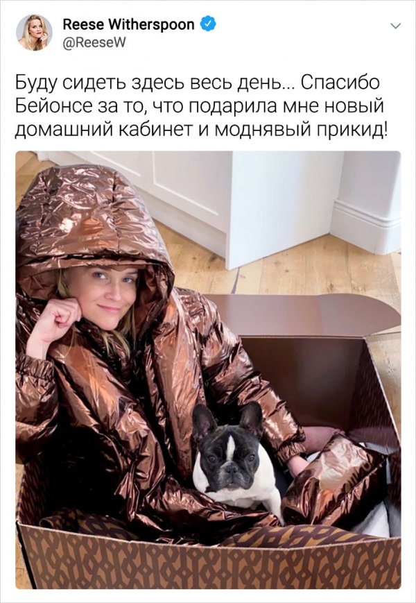 Подборка забавных твитов от знаменитостей (15 фото)