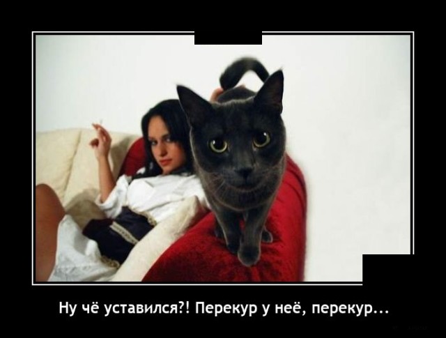 Демотиваторы 2847 Демотиваторы 2847