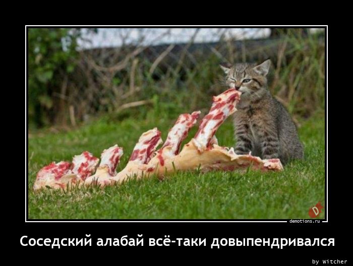 Демотиваторы 2853 Демотиваторы 2853