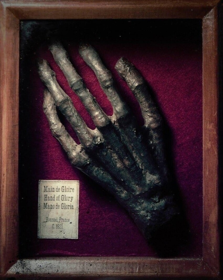 Рука Славы: зловещий амулет – из прошлых веков привет (9 фото)
