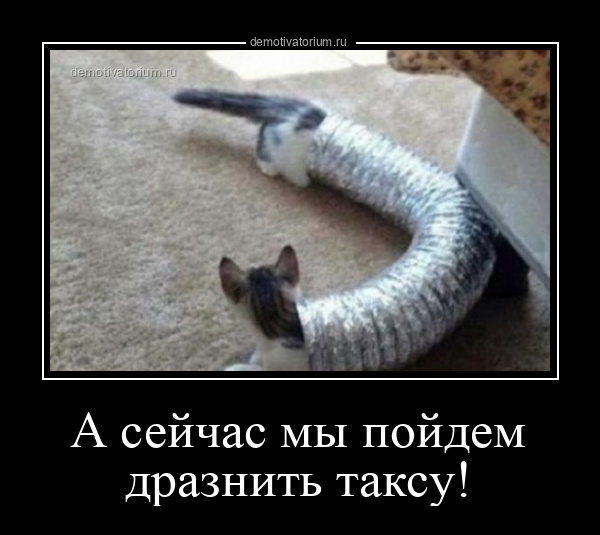Демотиваторы 2851 Демотиваторы 2851