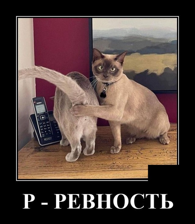 Демотиваторы 2853 Демотиваторы 2853
