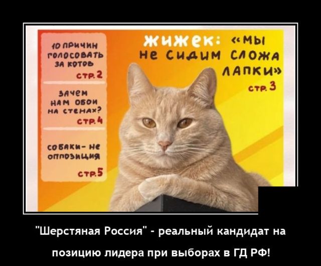 Демотиваторы 2841 Демотиваторы 2841