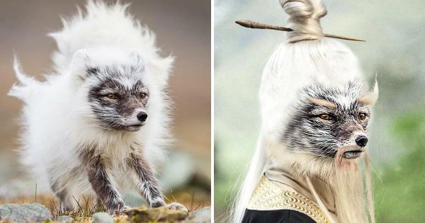 Подборка забавных фотожаб (13 фото)