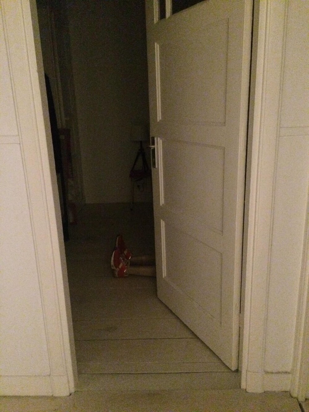 20 забавных кадров, доказывающих, что соседи по квартире - это весело (21 фото)