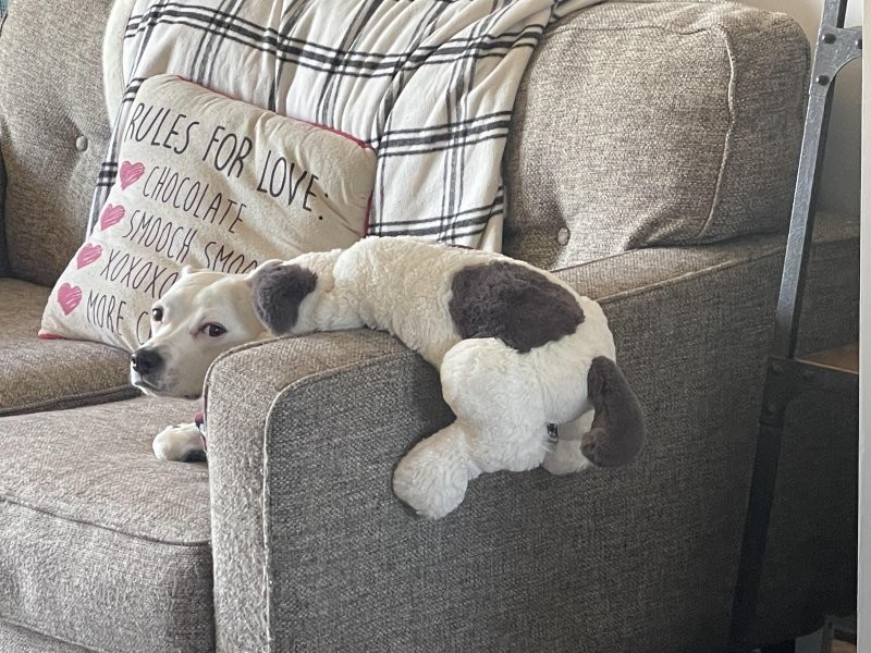 22 запутанных кадров, доказывающих, что даже самый острый глаз может ошибиться (23 фото) 22 запутанных кадров, доказывающих, что даже самый острый глаз может ошибиться (23 фото)