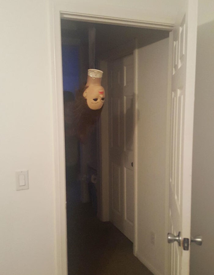 20 забавных кадров, доказывающих, что соседи по квартире - это весело (21 фото)