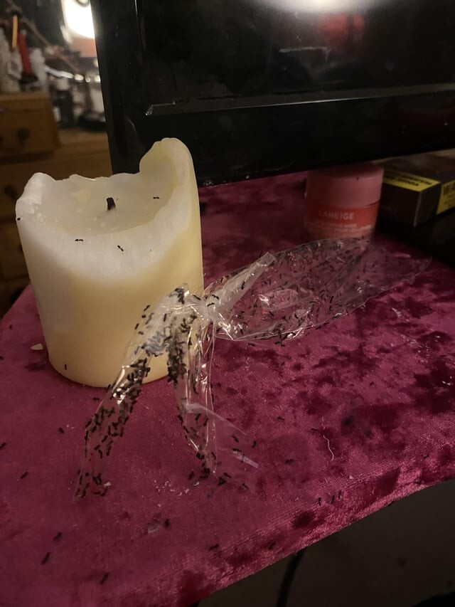 Неудачники, у которых каждый день - новая беда (15 фото) Неудачники, у которых каждый день - новая беда (15 фото)