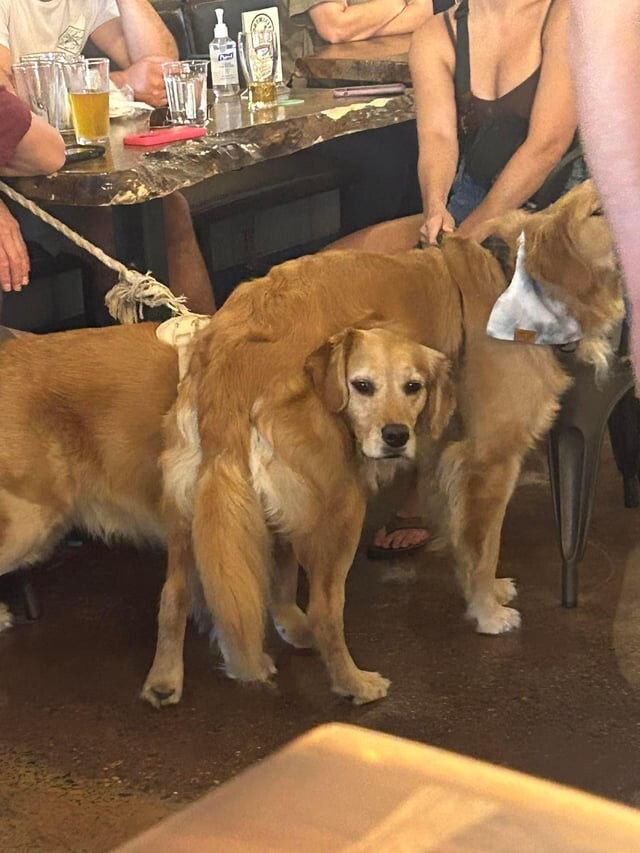 18 обманчивых фото, глядя на которые так и хочется хорошенько проморгаться (19 фото)