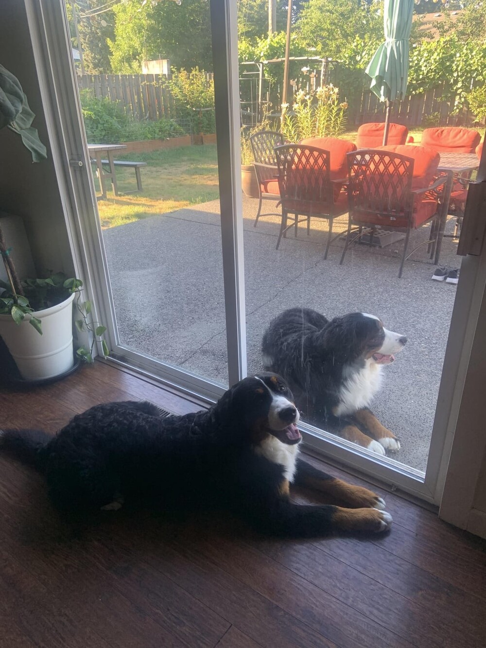 22 запутанных кадров, доказывающих, что даже самый острый глаз может ошибиться (23 фото) 22 запутанных кадров, доказывающих, что даже самый острый глаз может ошибиться (23 фото)