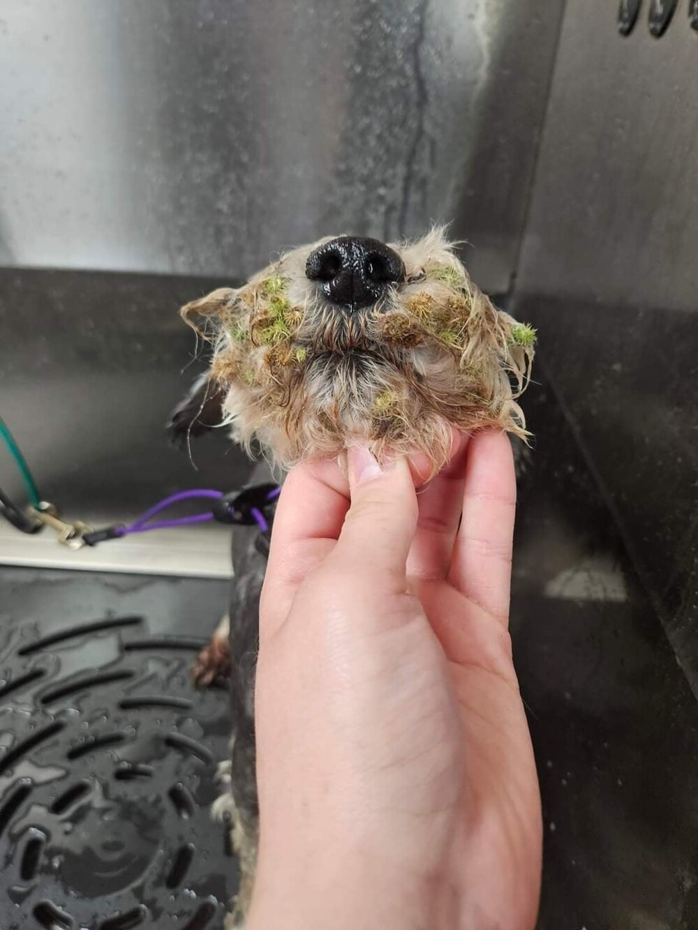 22 запутанных кадров, доказывающих, что даже самый острый глаз может ошибиться (23 фото) 22 запутанных кадров, доказывающих, что даже самый острый глаз может ошибиться (23 фото)