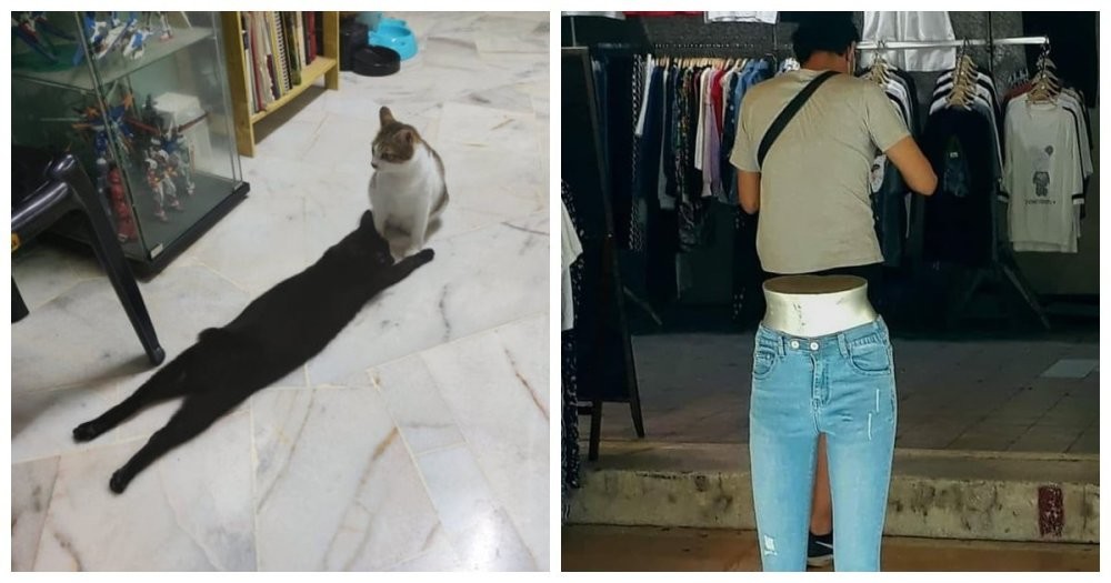 22 запутанных кадров, доказывающих, что даже самый острый глаз может ошибиться (23 фото) 22 запутанных кадров, доказывающих, что даже самый острый глаз может ошибиться (23 фото)