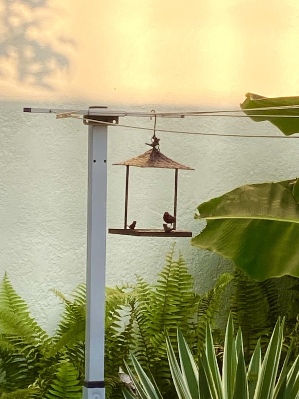 22 запутанных кадров, доказывающих, что даже самый острый глаз может ошибиться (23 фото) 22 запутанных кадров, доказывающих, что даже самый острый глаз может ошибиться (23 фото)