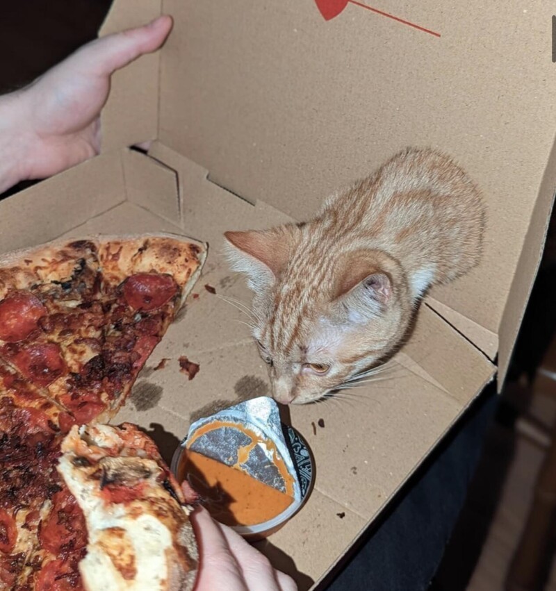 22 запутанных кадров, доказывающих, что даже самый острый глаз может ошибиться (23 фото) 22 запутанных кадров, доказывающих, что даже самый острый глаз может ошибиться (23 фото)