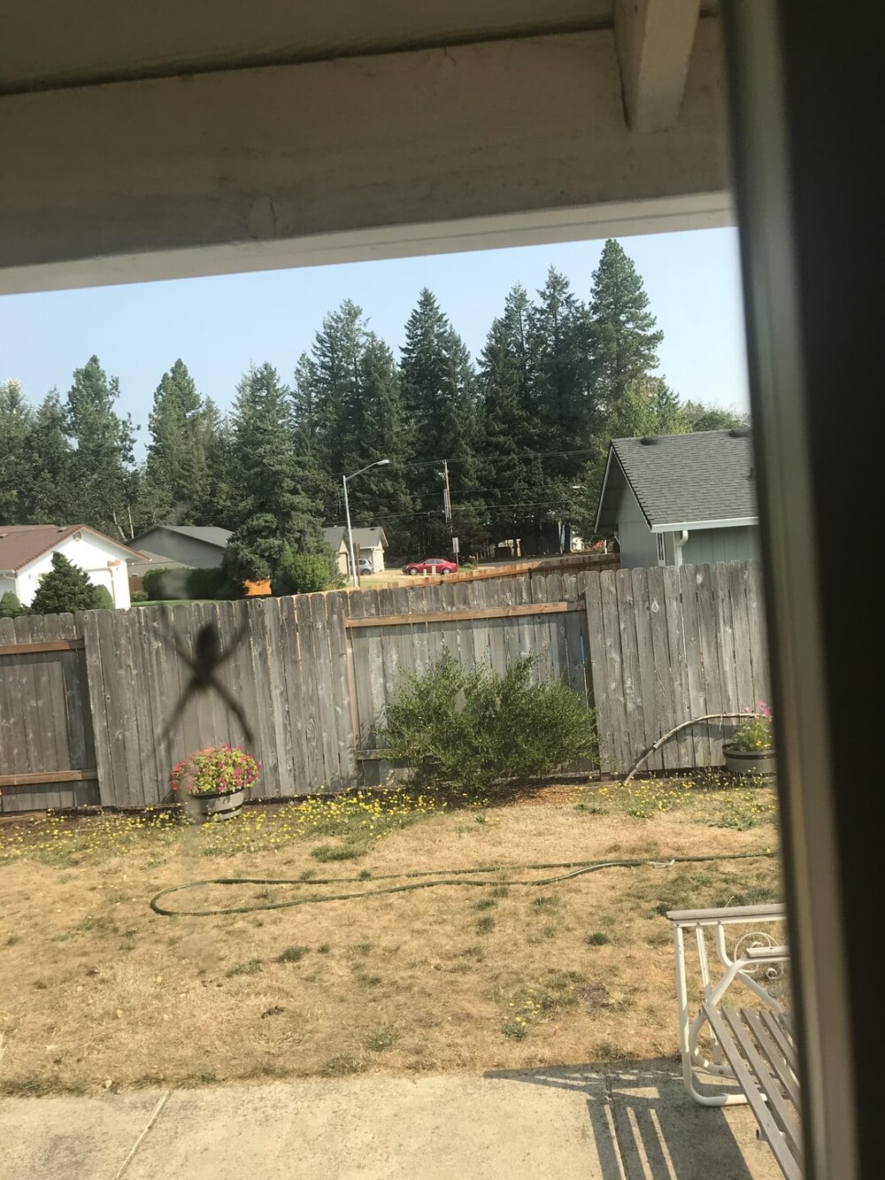 22 запутанных кадров, доказывающих, что даже самый острый глаз может ошибиться (23 фото) 22 запутанных кадров, доказывающих, что даже самый острый глаз может ошибиться (23 фото)