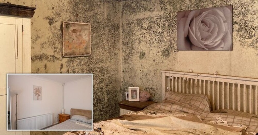 Сообщение в соцсетях помог собрать денег на ремонт для слепой пенсионерки (4 фото + 1 видео)