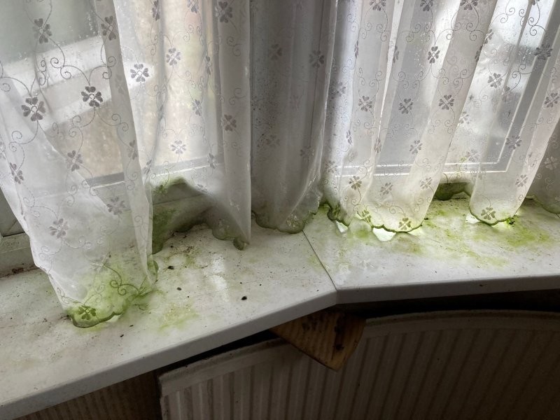 Сообщение в соцсетях помог собрать денег на ремонт для слепой пенсионерки (4 фото + 1 видео)