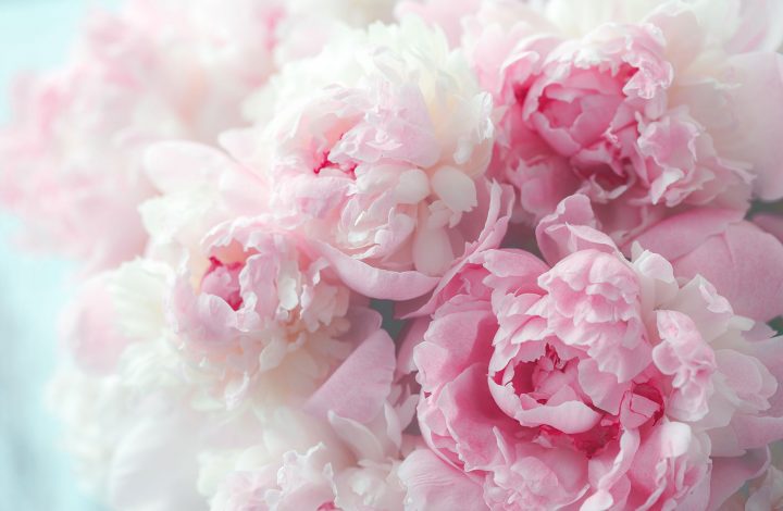 Доставка цветов в Мытищах