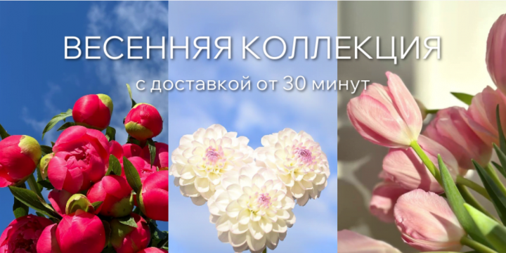 Цветочный магазин в Казани: заказ и бесплатная доставка букетов, подарков и цветочных композиций – Салон цветов "Фестиваль"