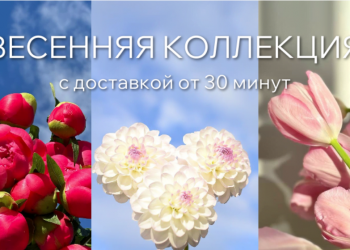 Цветочный магазин в Казани: заказ и бесплатная доставка букетов, подарков и цветочных композиций – Салон цветов "Фестиваль"